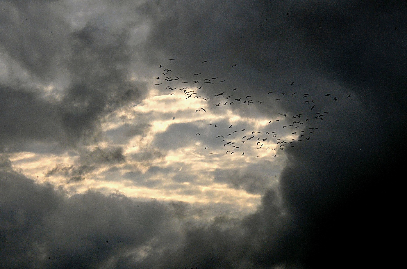 Es ist Zeit zu fliegen
