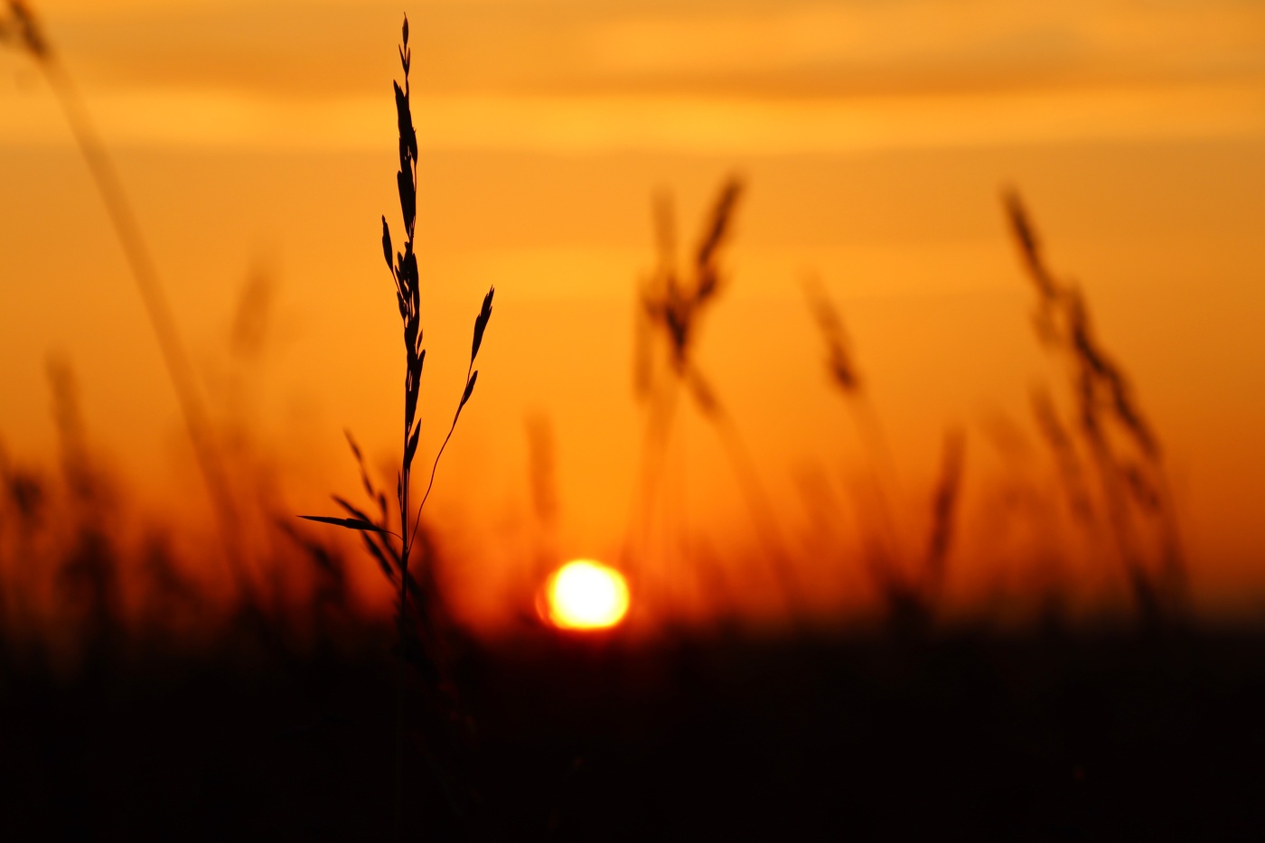 Sonnenuntergang im September