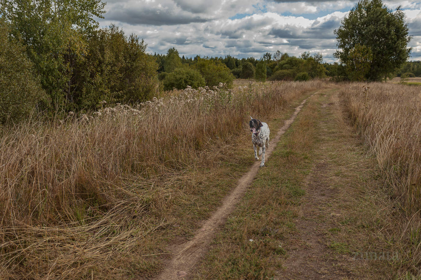 für die Herbststraße