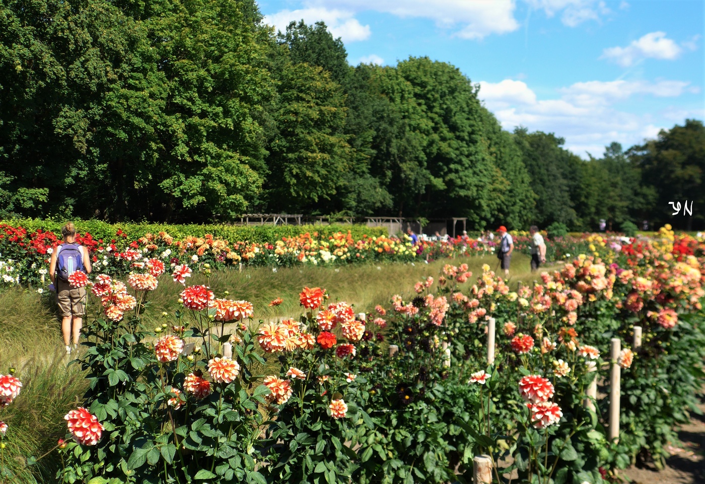 Dahliengarten Hamburg