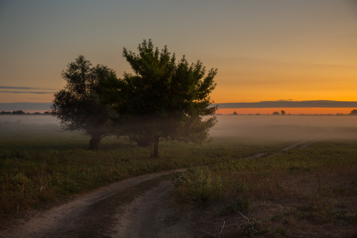 Verschwinden in den Nebel