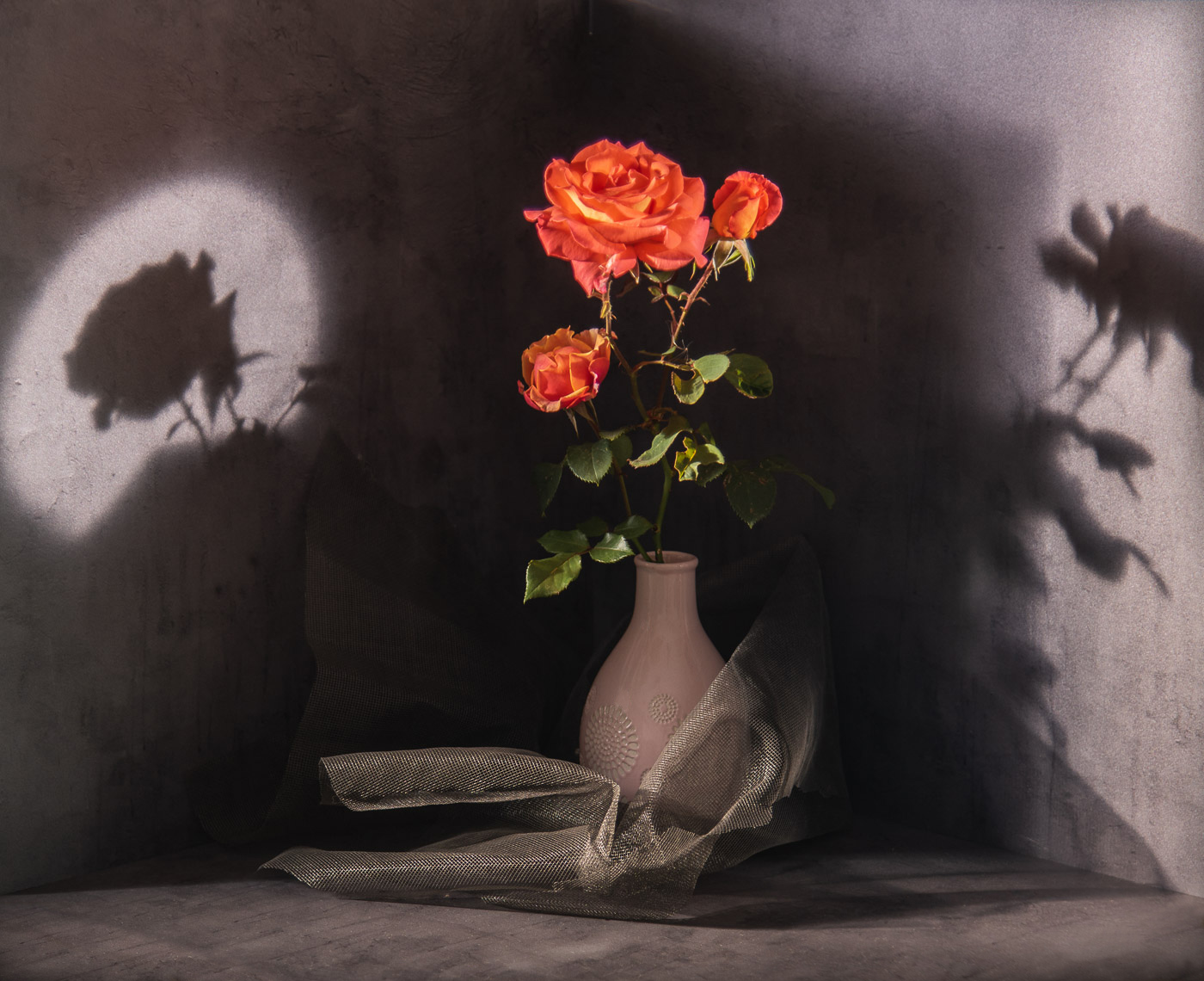 Study mit einer Rose