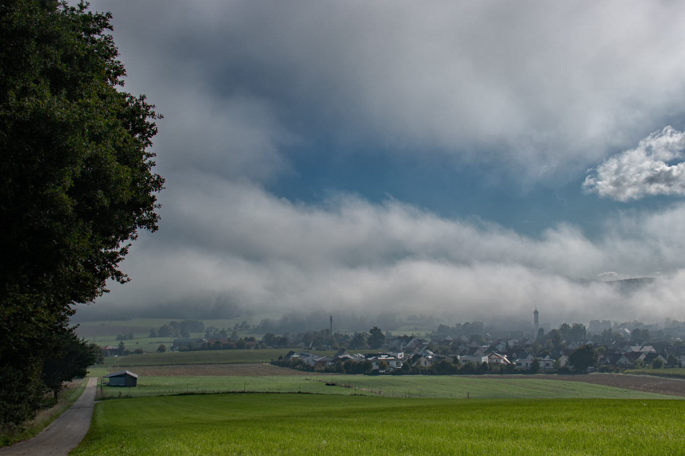 Spätsommer am Morgen