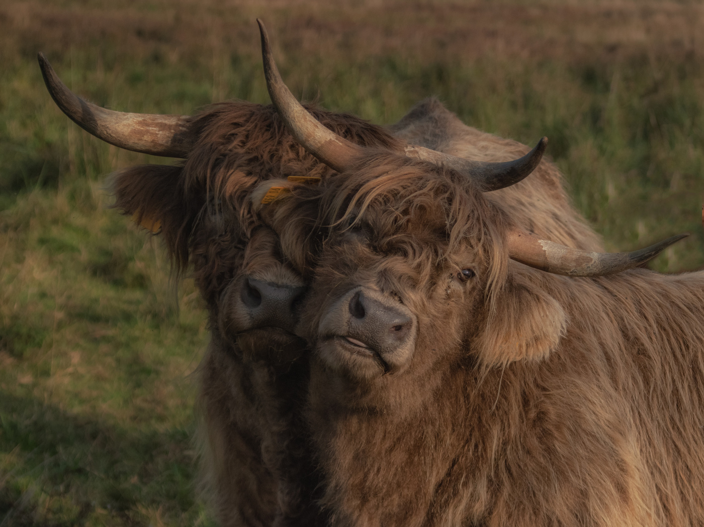 Wir können auch Selfie