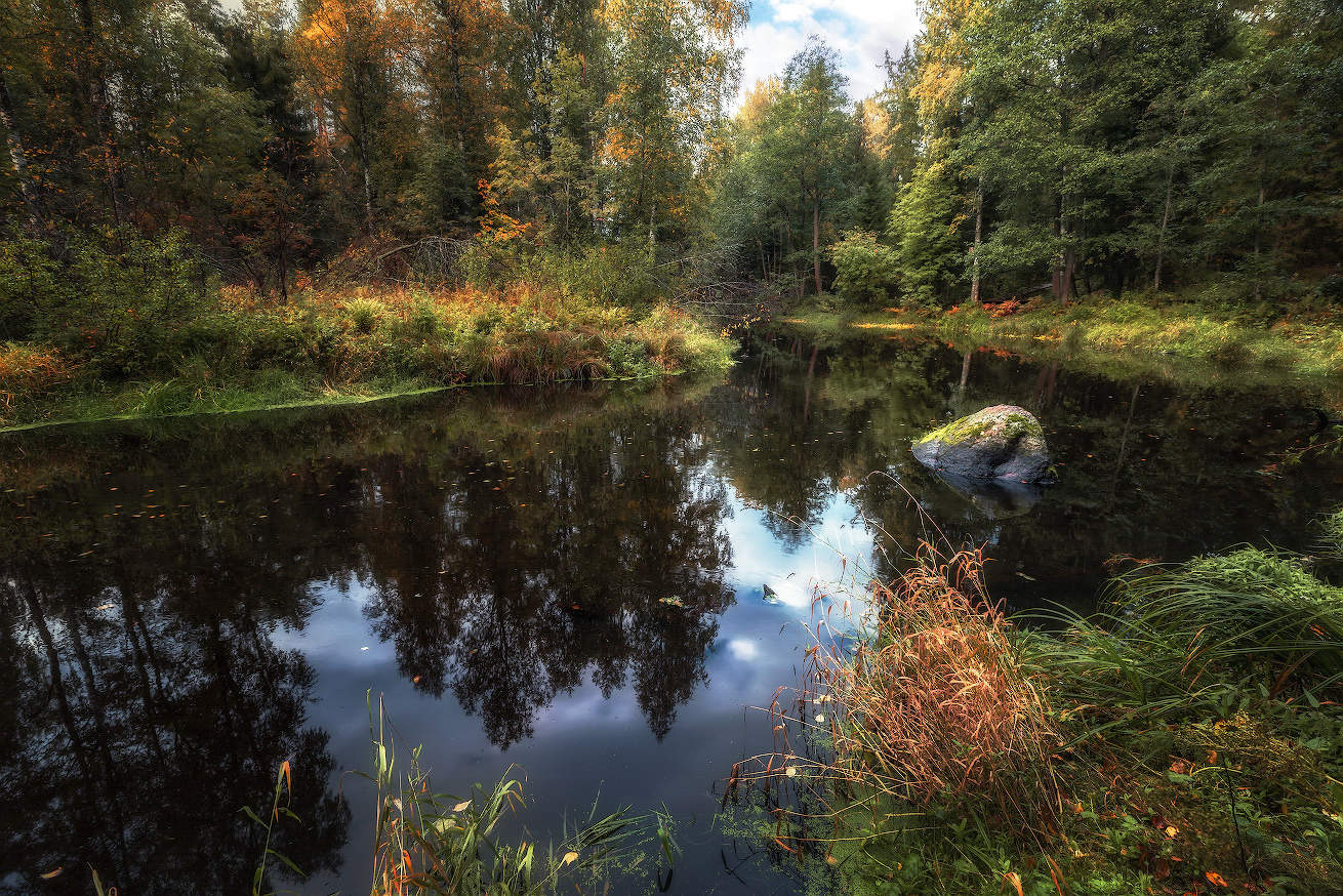 Ein Hauch von Herbst