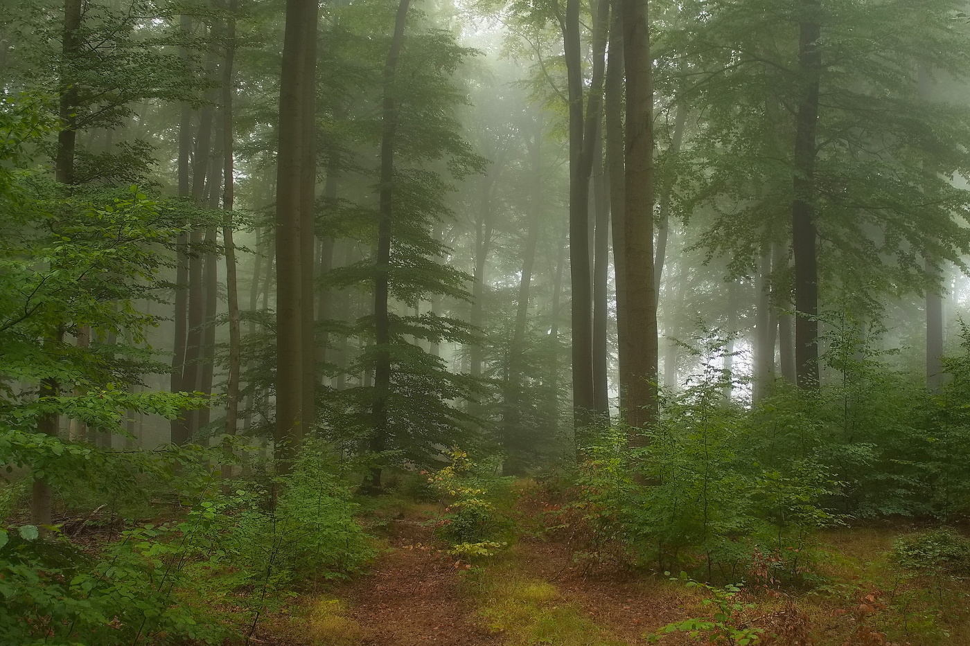 Herbst ist gekommen,