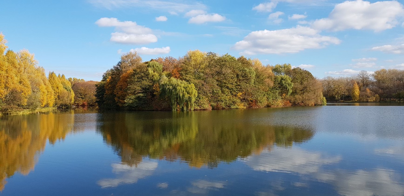 Im Vorgriff auf den Sturz ...