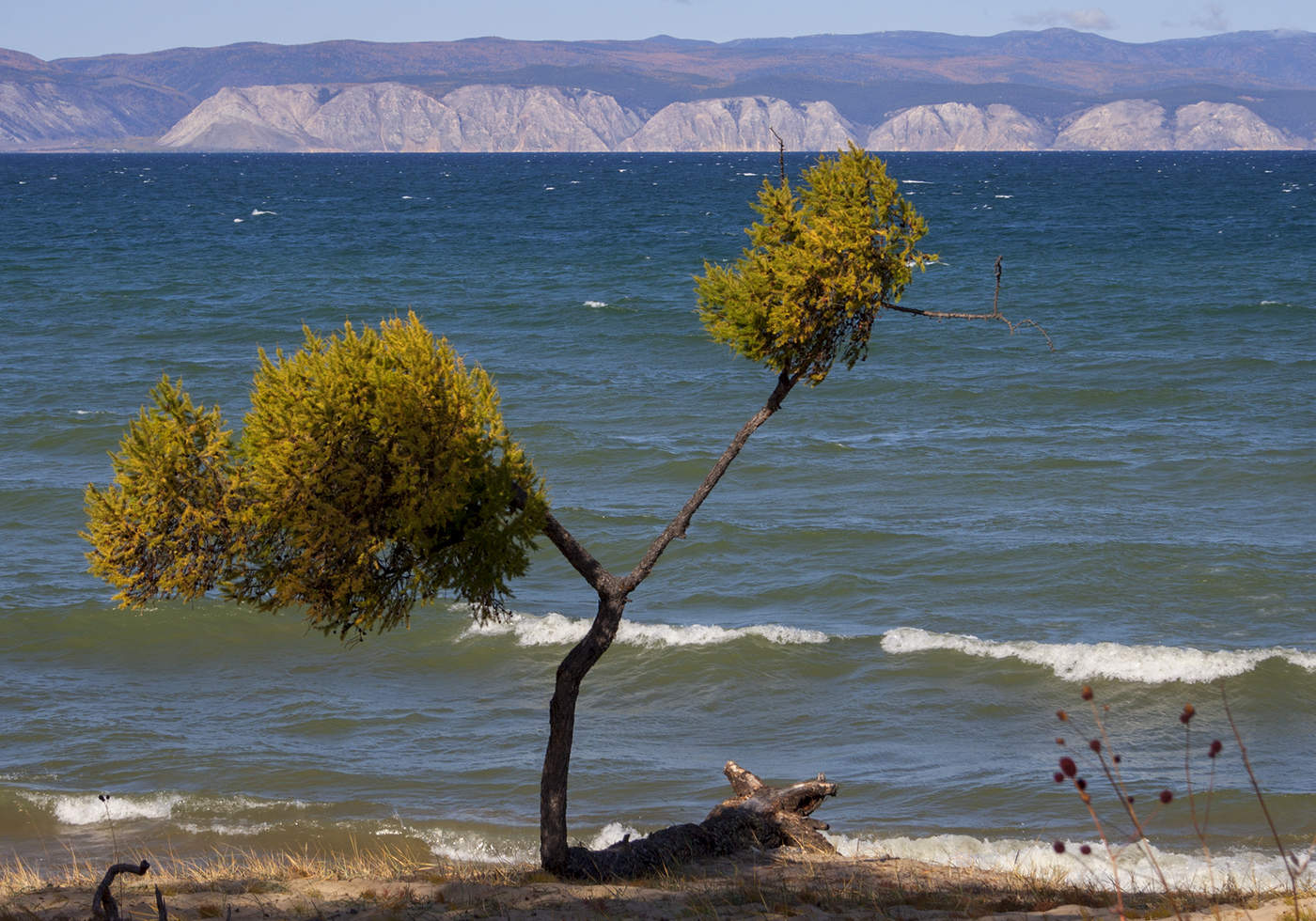 Das ist, wie wir leben ...