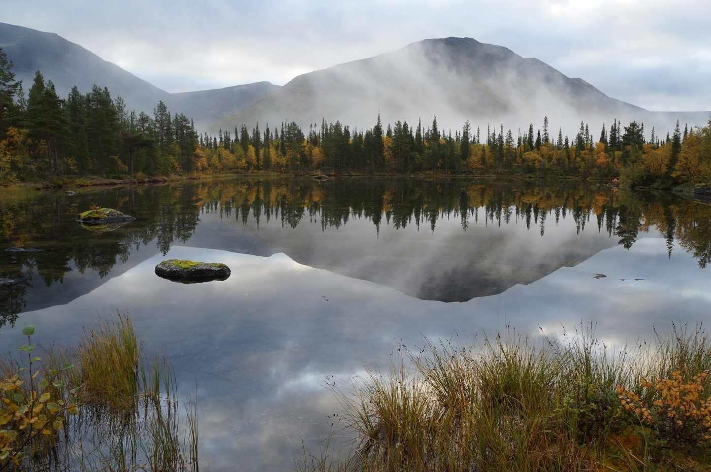 Der frühe Vogel fängt ...