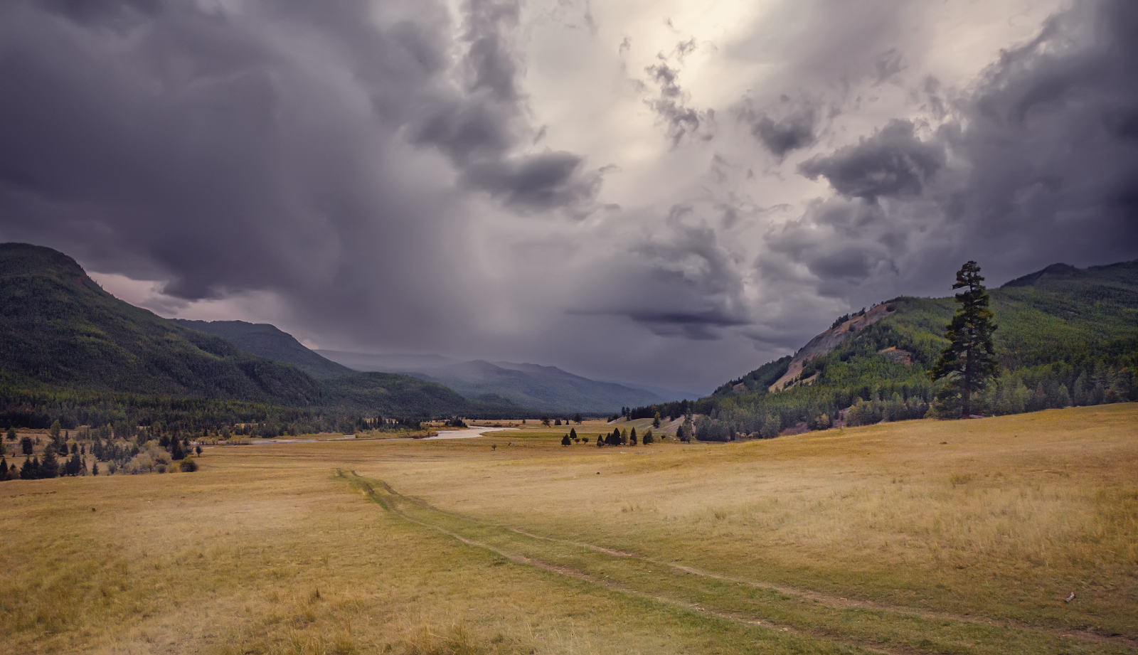 Bald wird der regen ...