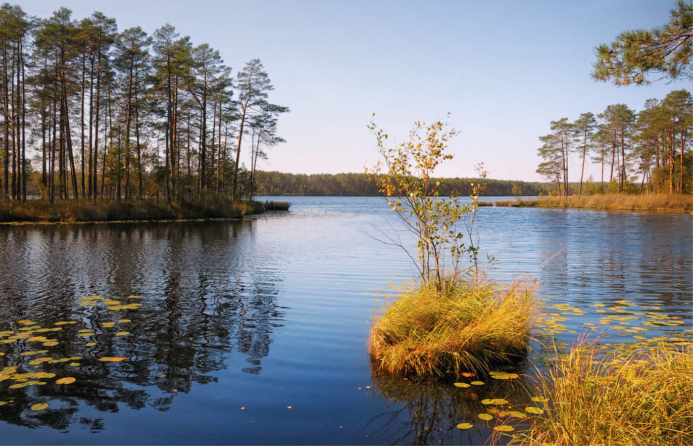 Hier und im Sommer ist vorbei ....