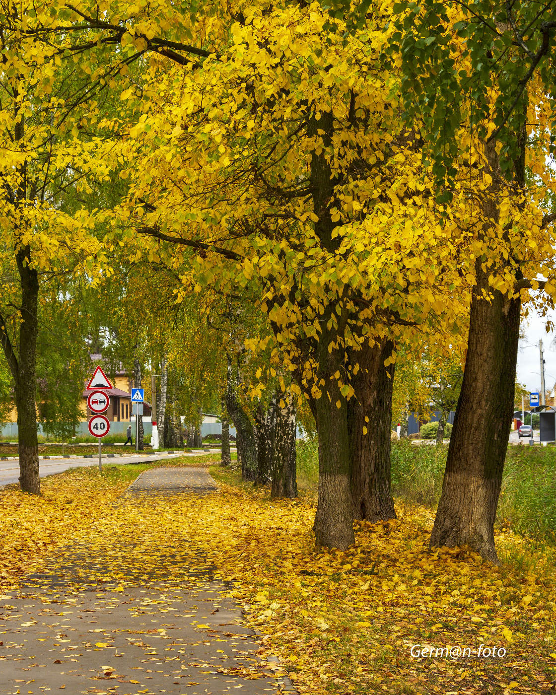 Herbst in vollem Gange