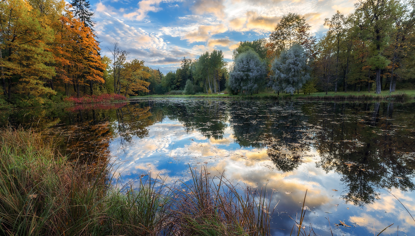 Faszinierende Herbst
