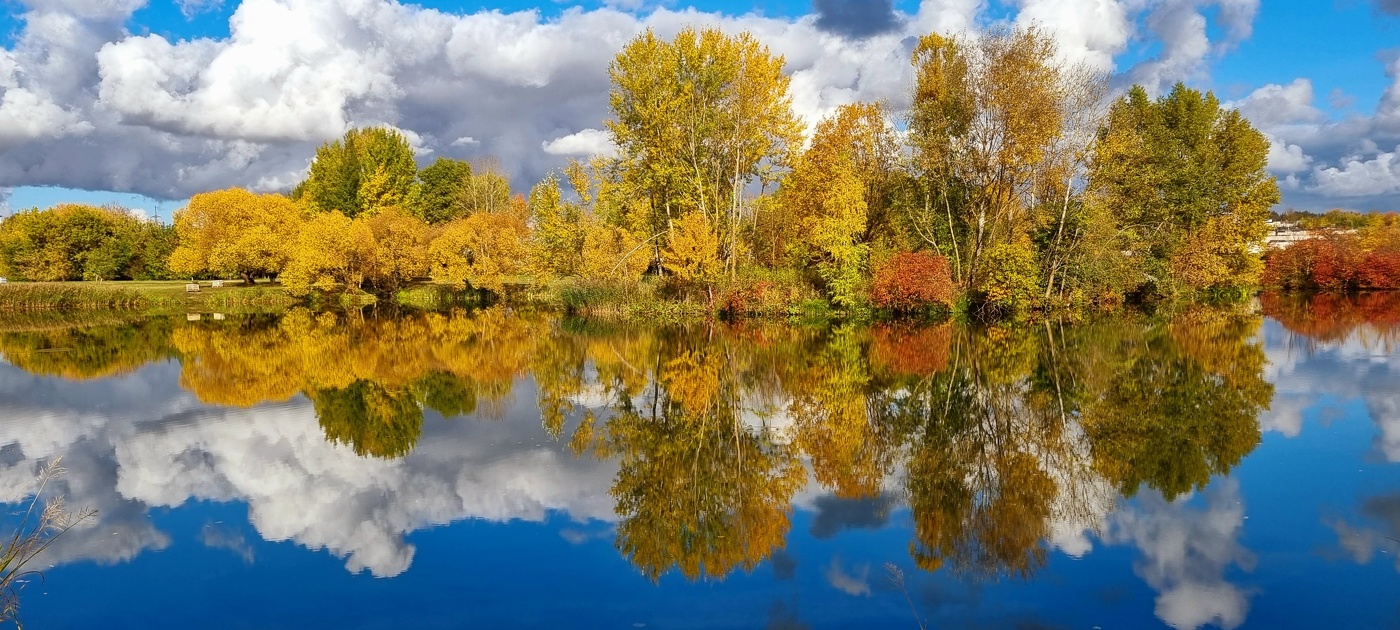 Palette von Herbst ...