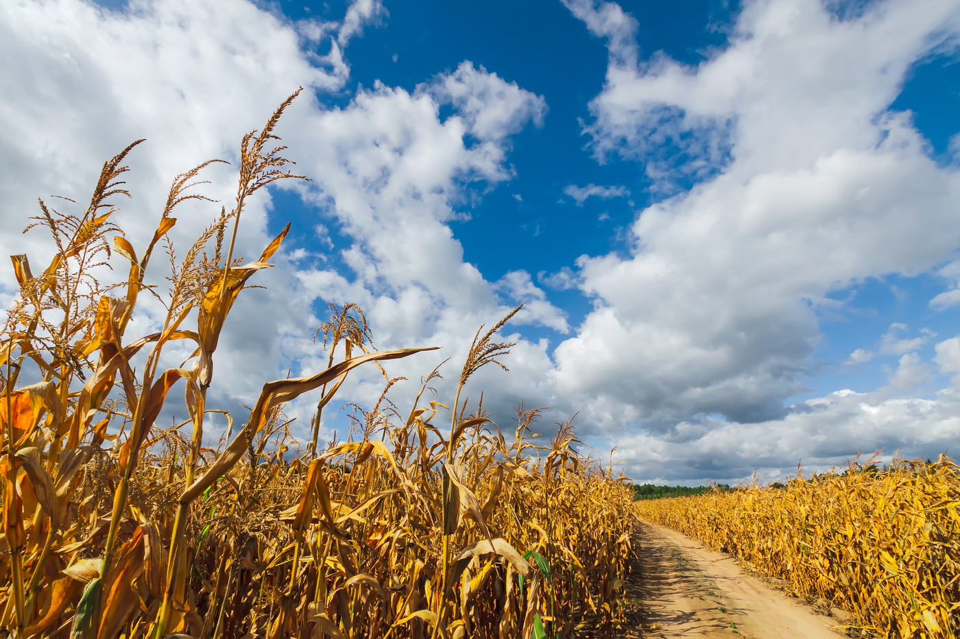 So ist der Sommer vorbei ...