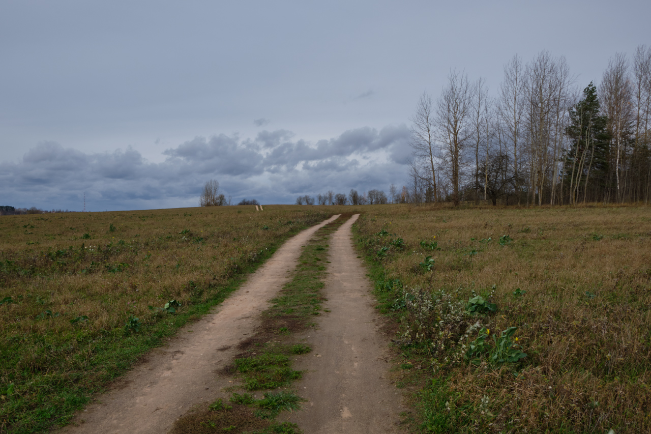 Straße in einem Feld