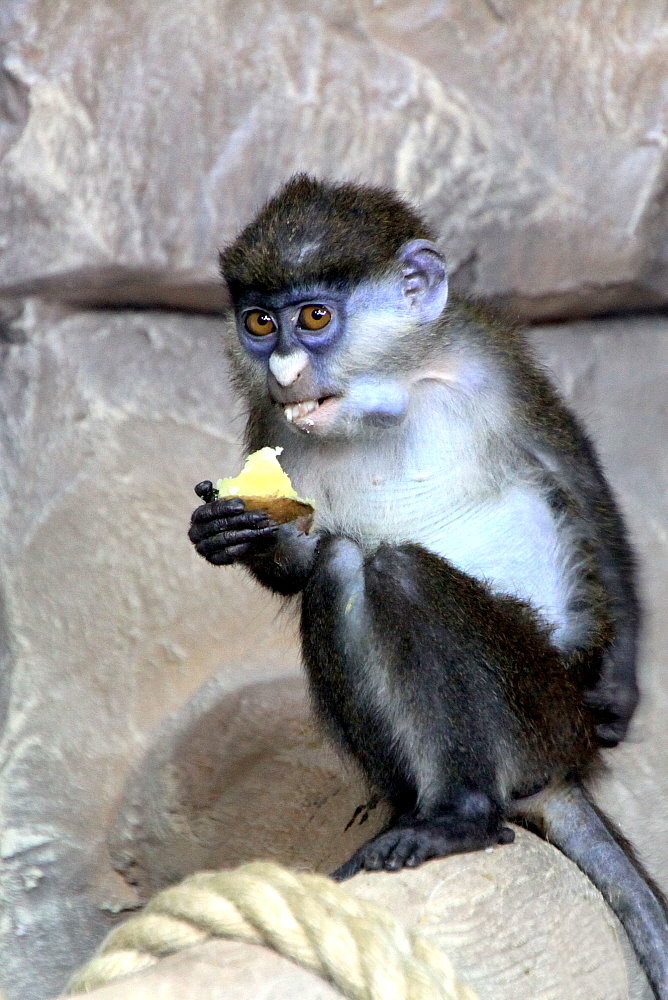 Das ist, wie wir leben ...