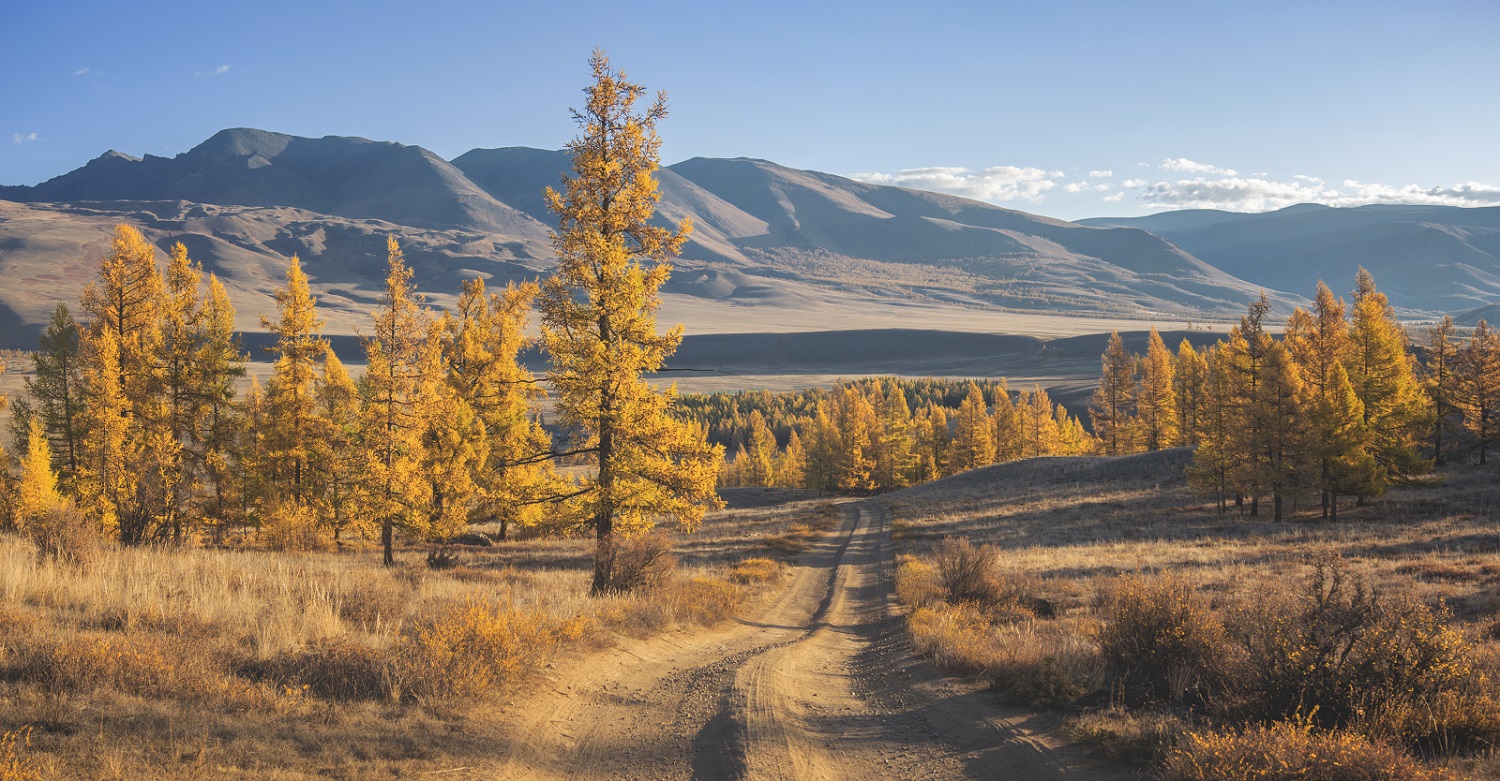Autumn Altai