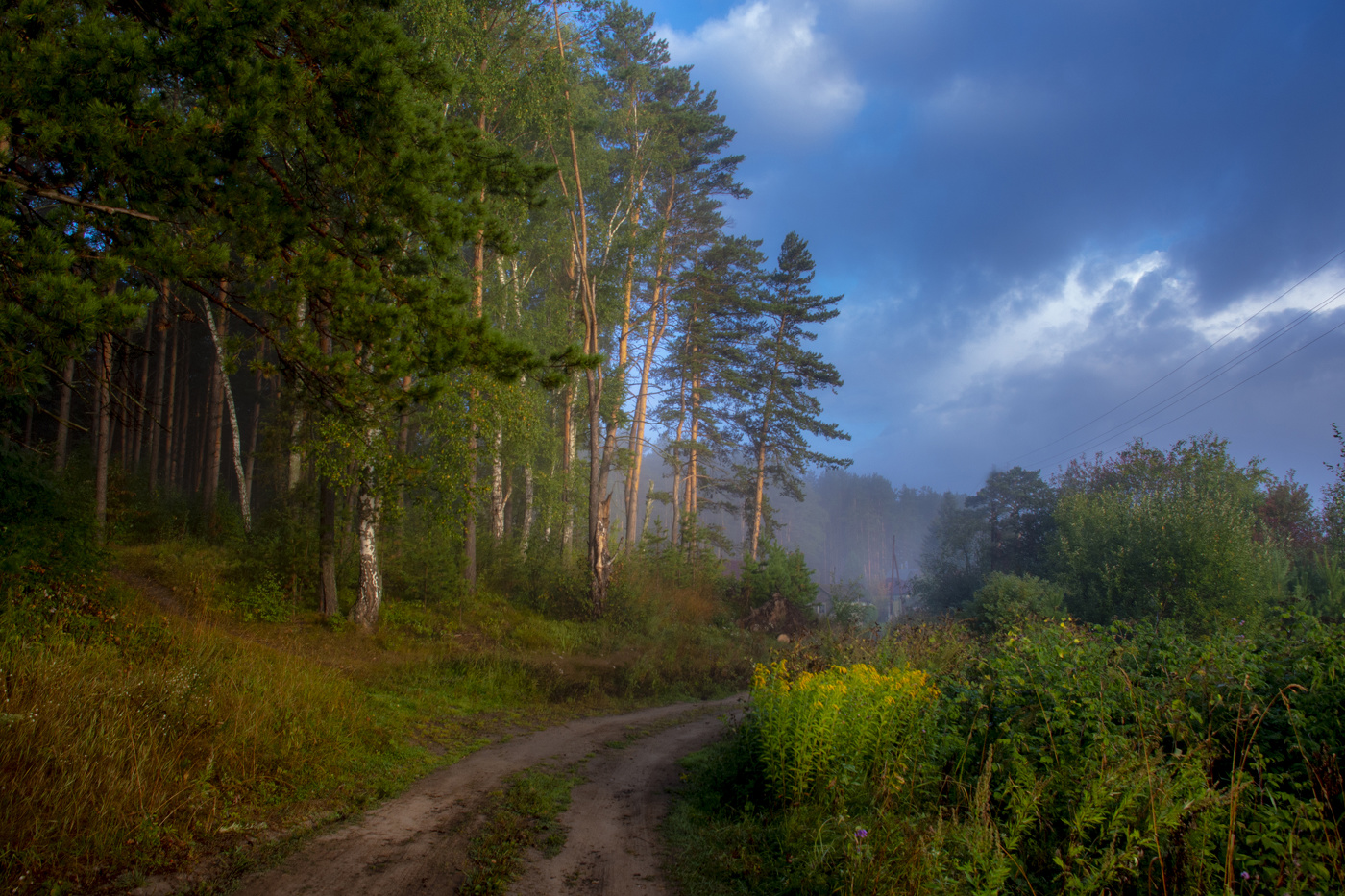 Straße im Nebel