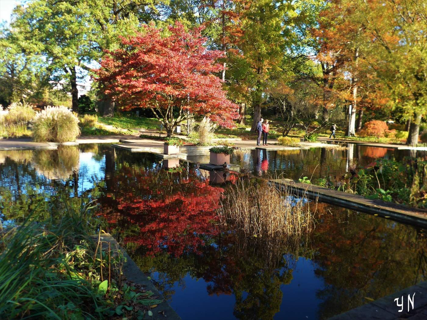 Planten un Blomen Hamburg