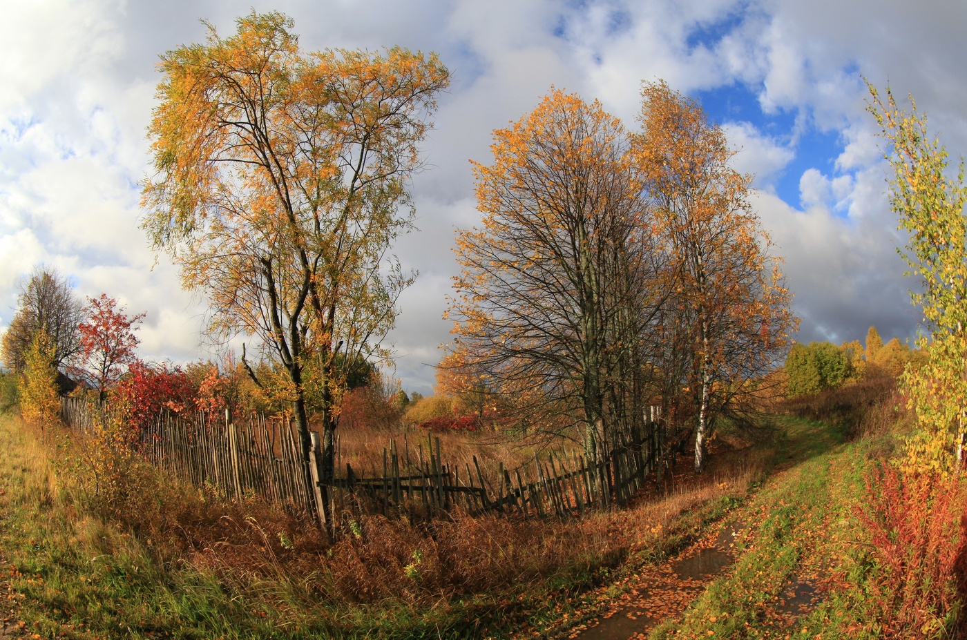 Herbst in der Ortschaft