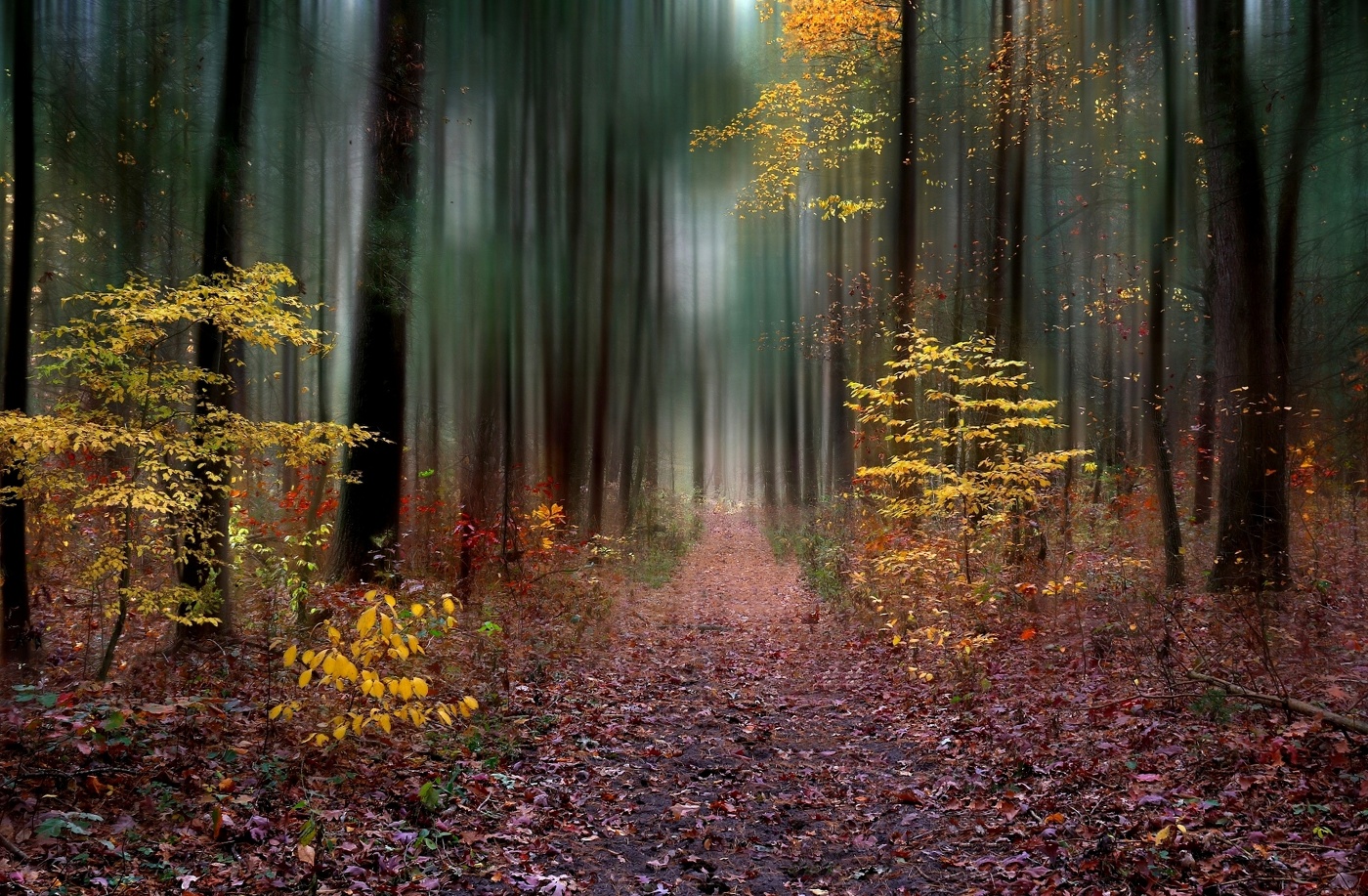 Der Charme des Herbstes