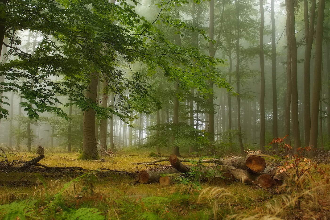 an der Schwelle zum Herbst