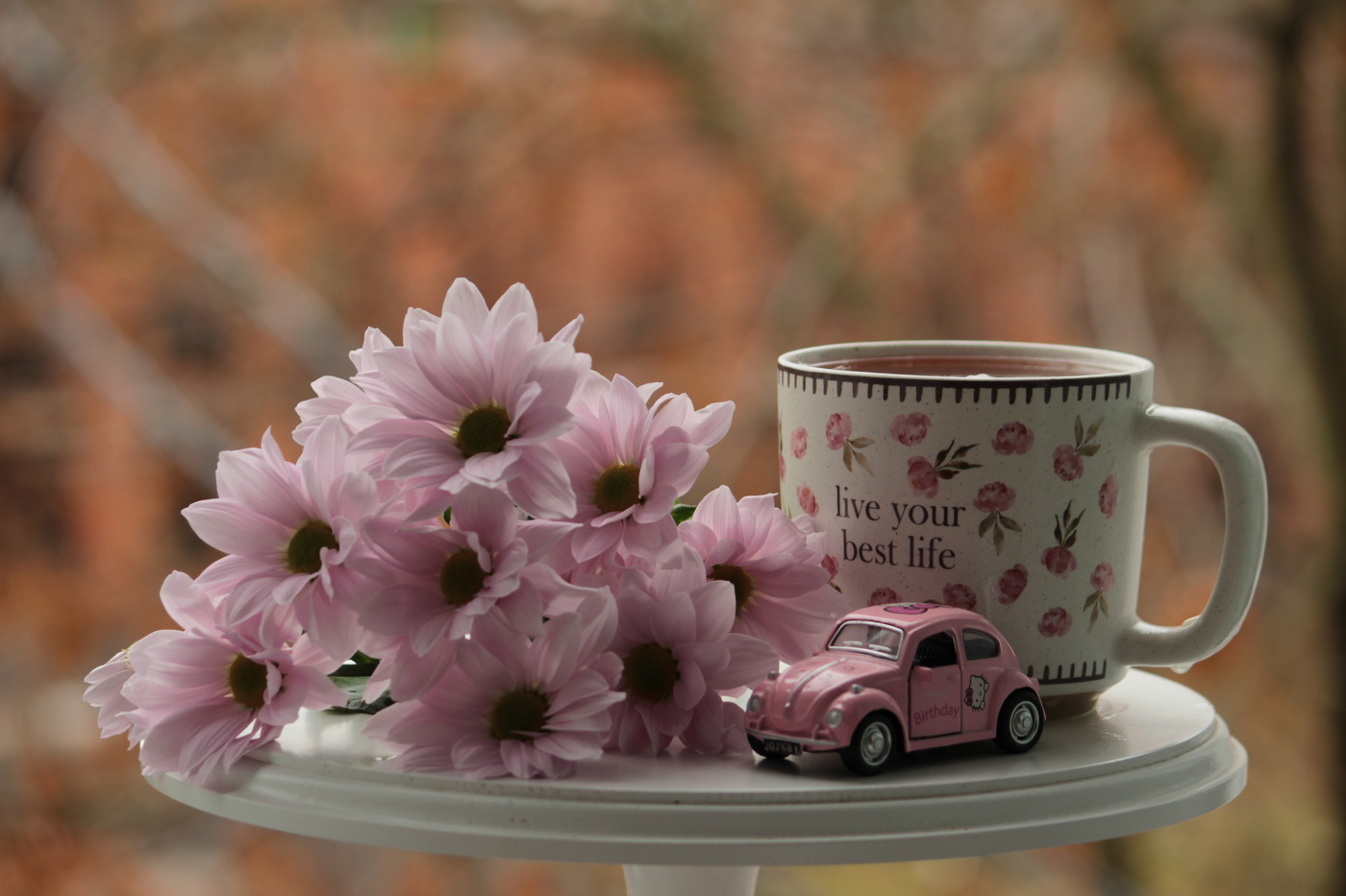 auf Herbst Hintergrund