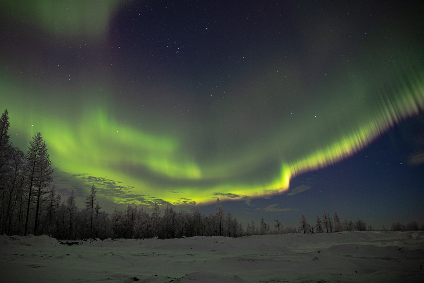 Nordlicht