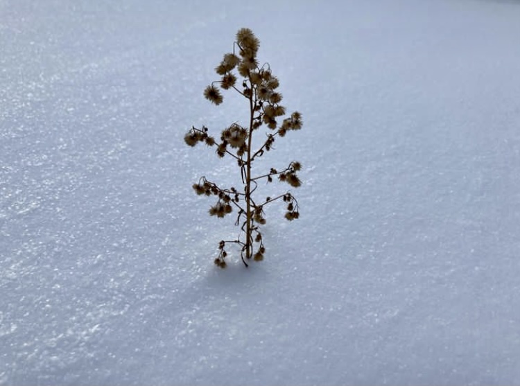 Ein Soldat auf dem Gebiet