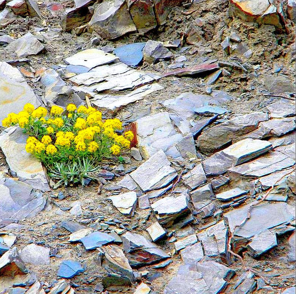 irgendwo in den Bergen