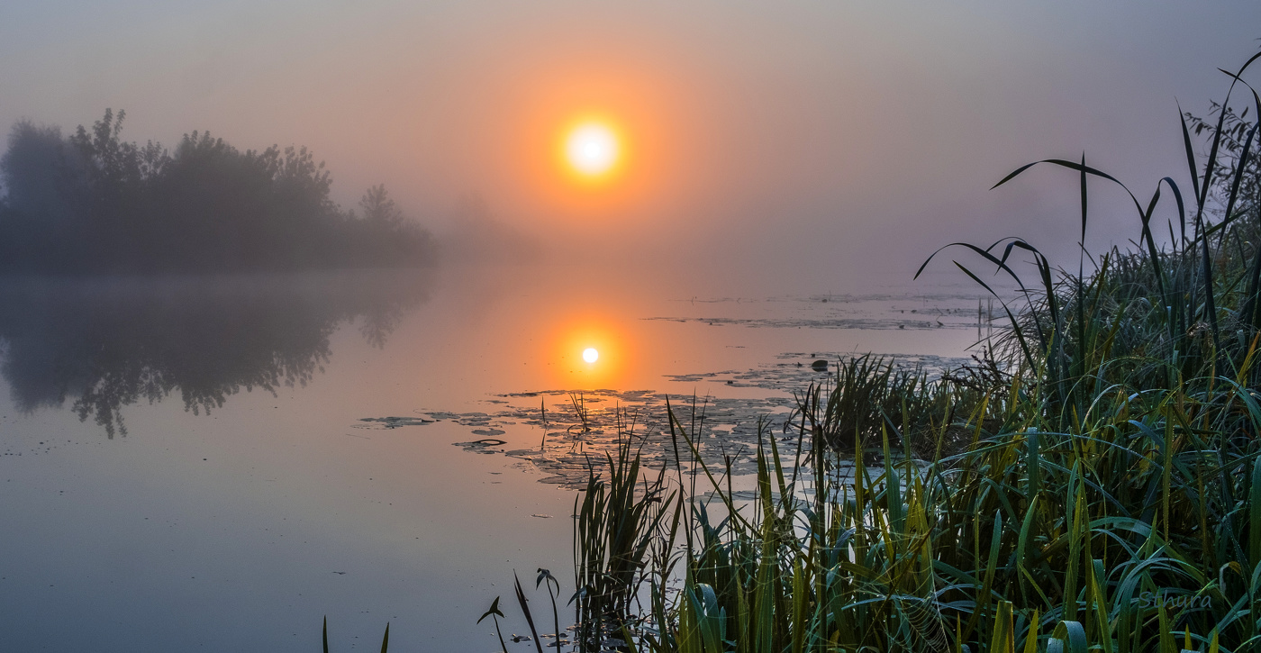 Herbst Morgengrauen.