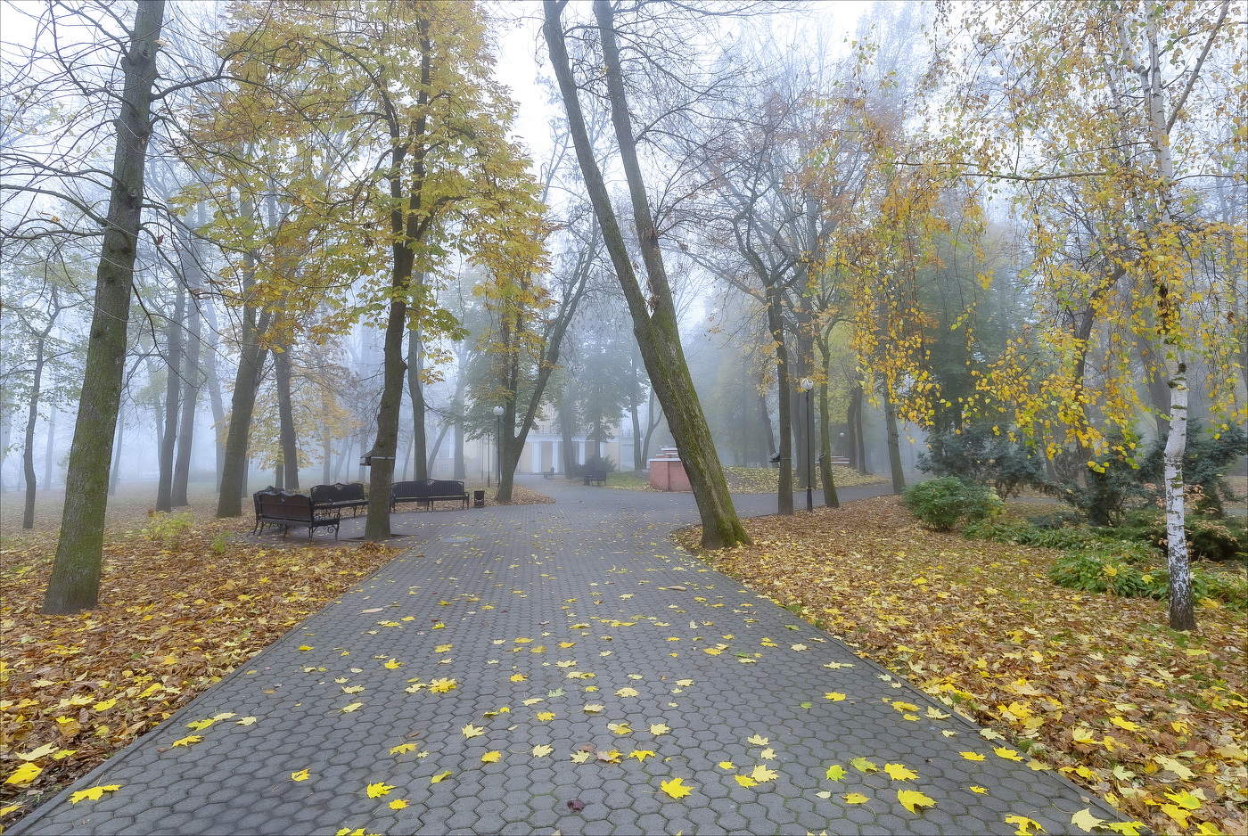Im Herbst Park