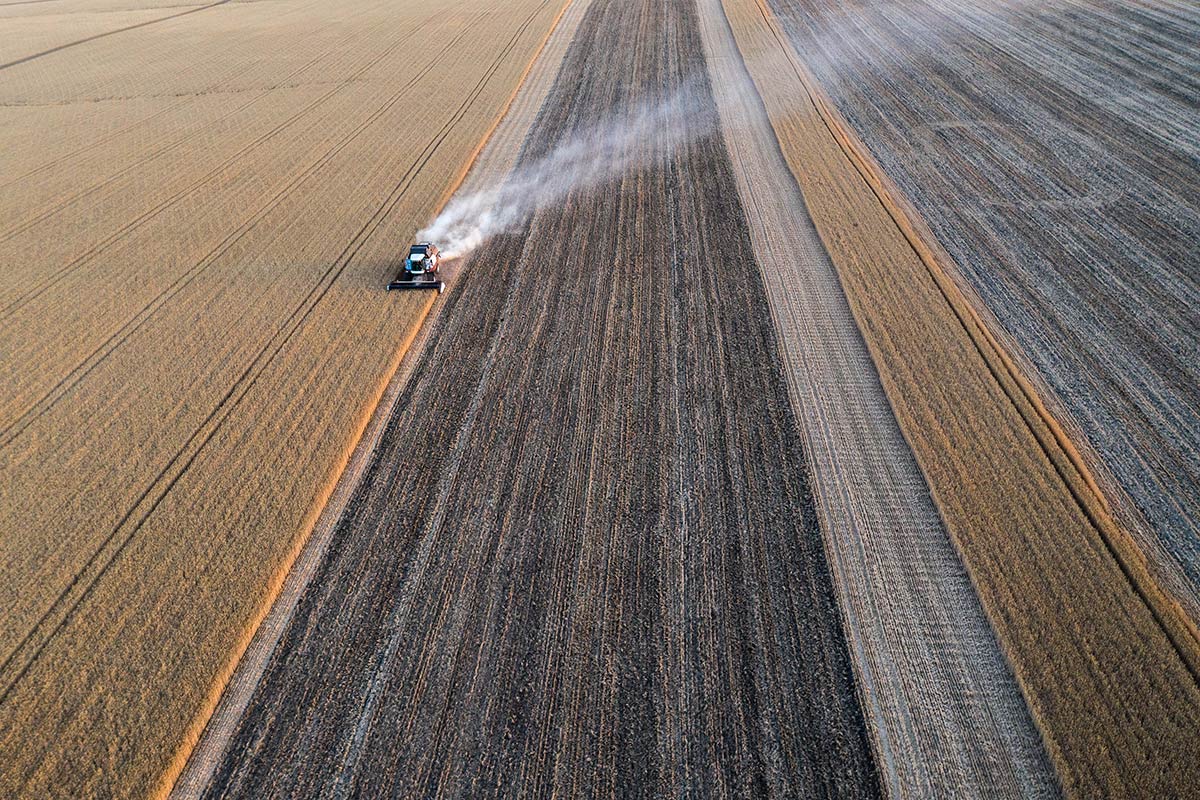 Battle for the harvest
