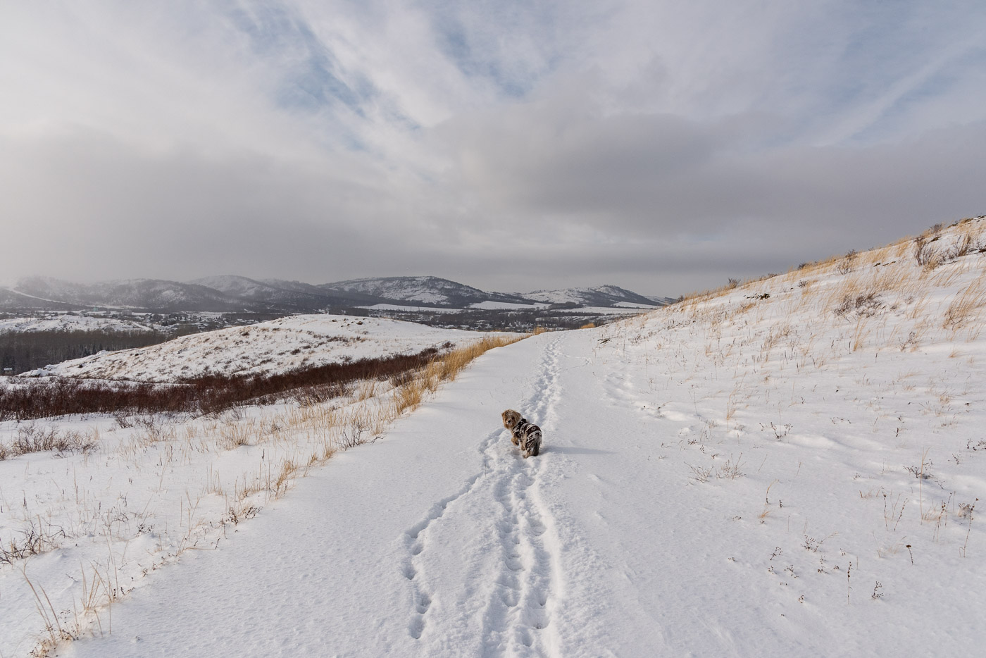 Zeit nach Hause zu gehen!