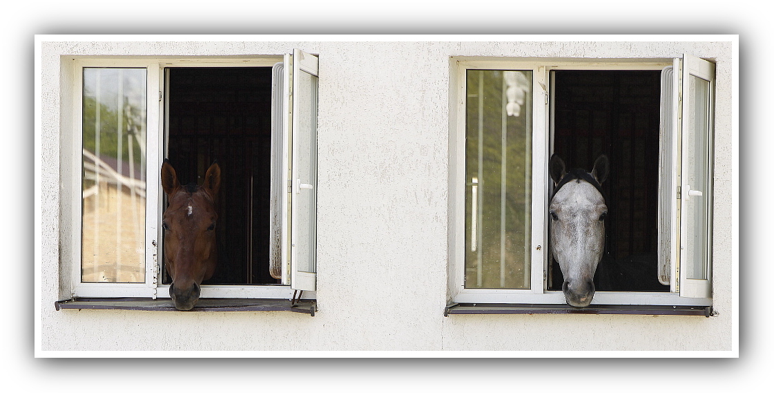 Das ist, wie wir leben ...