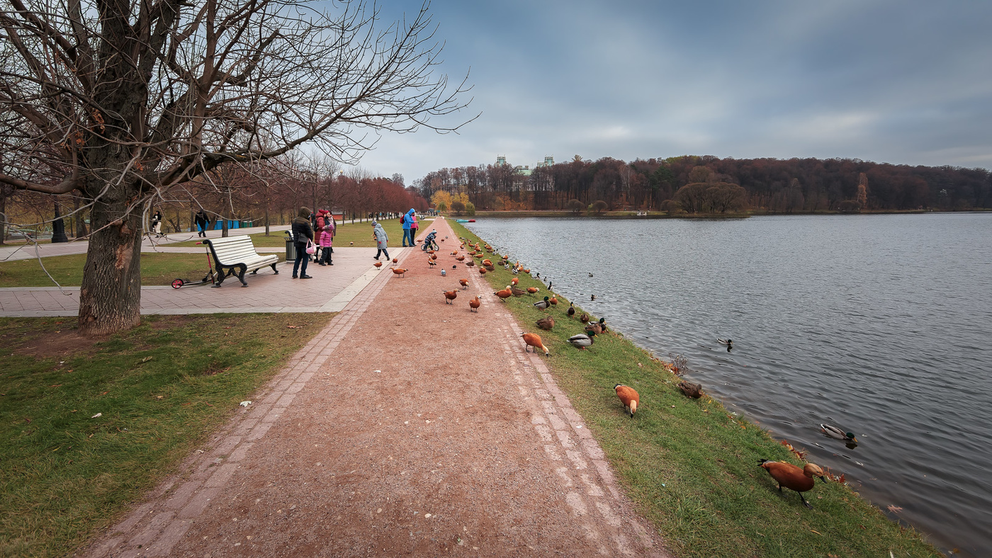 Im Herbst des Parks ...