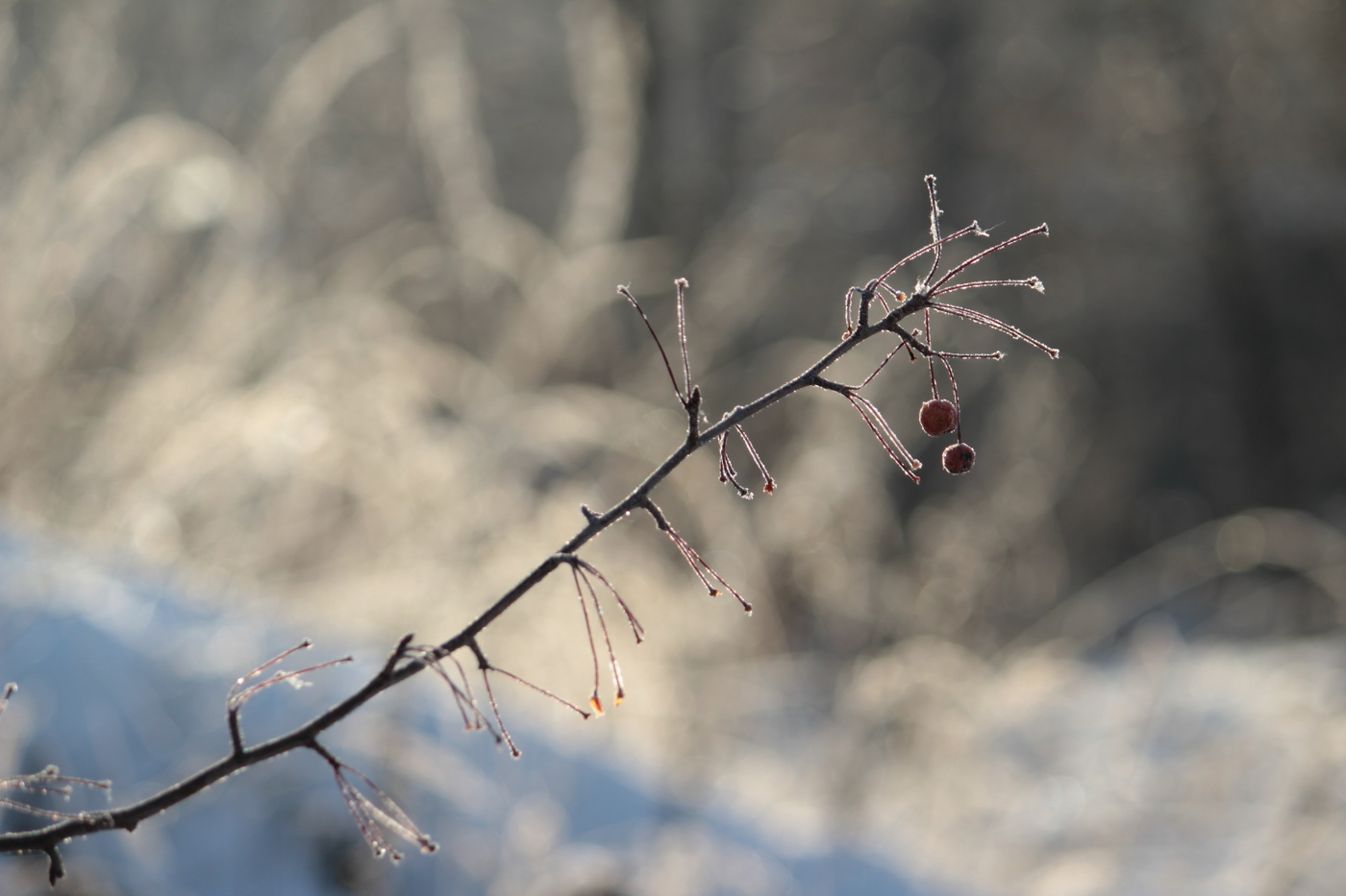 Letzter Tag des Herbstes