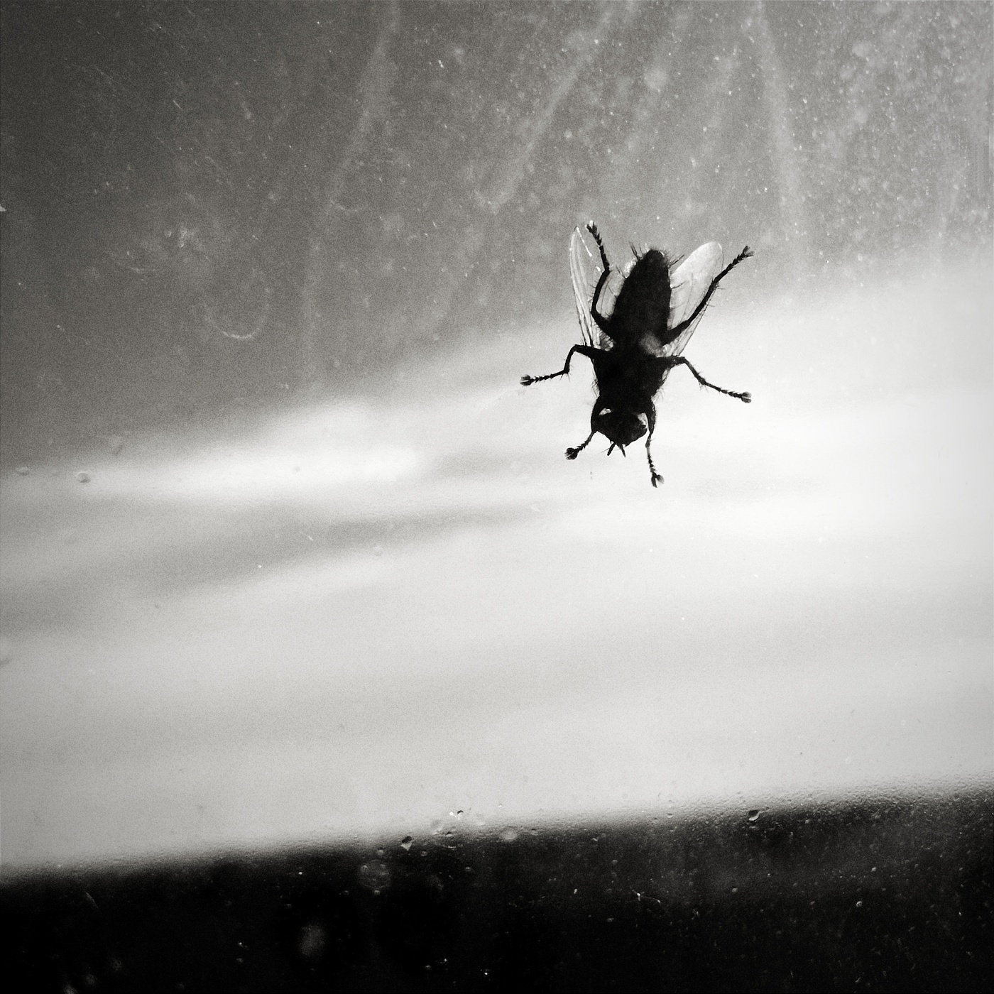 Ein Soldat auf dem Gebiet