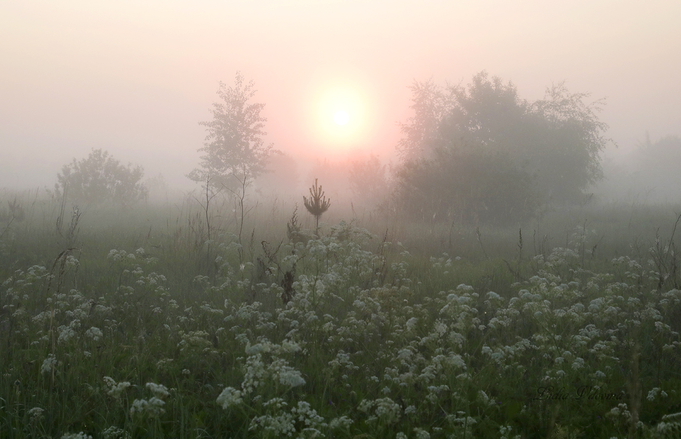 Erinnerung an Sommer.