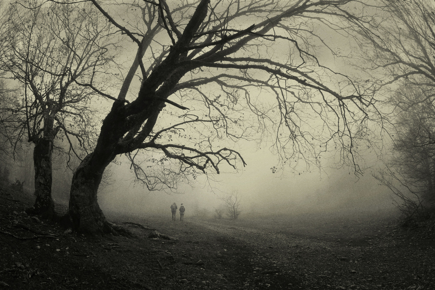 Die Tage des Spätherbst ...