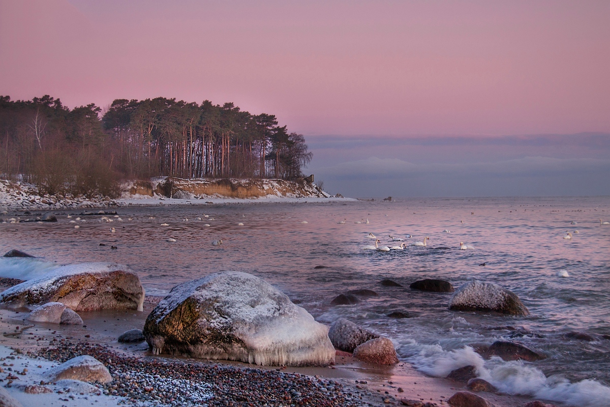 Herbst Morgengrauen.