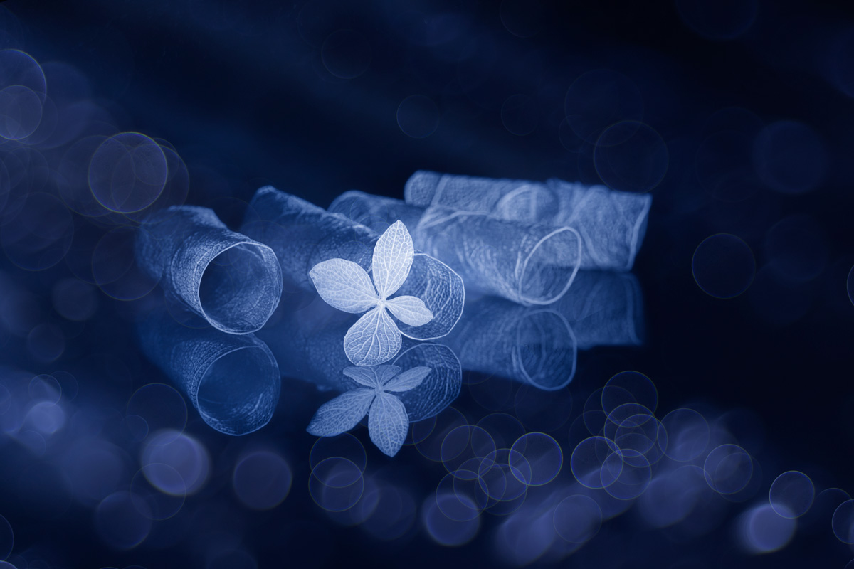 Mysterious variations