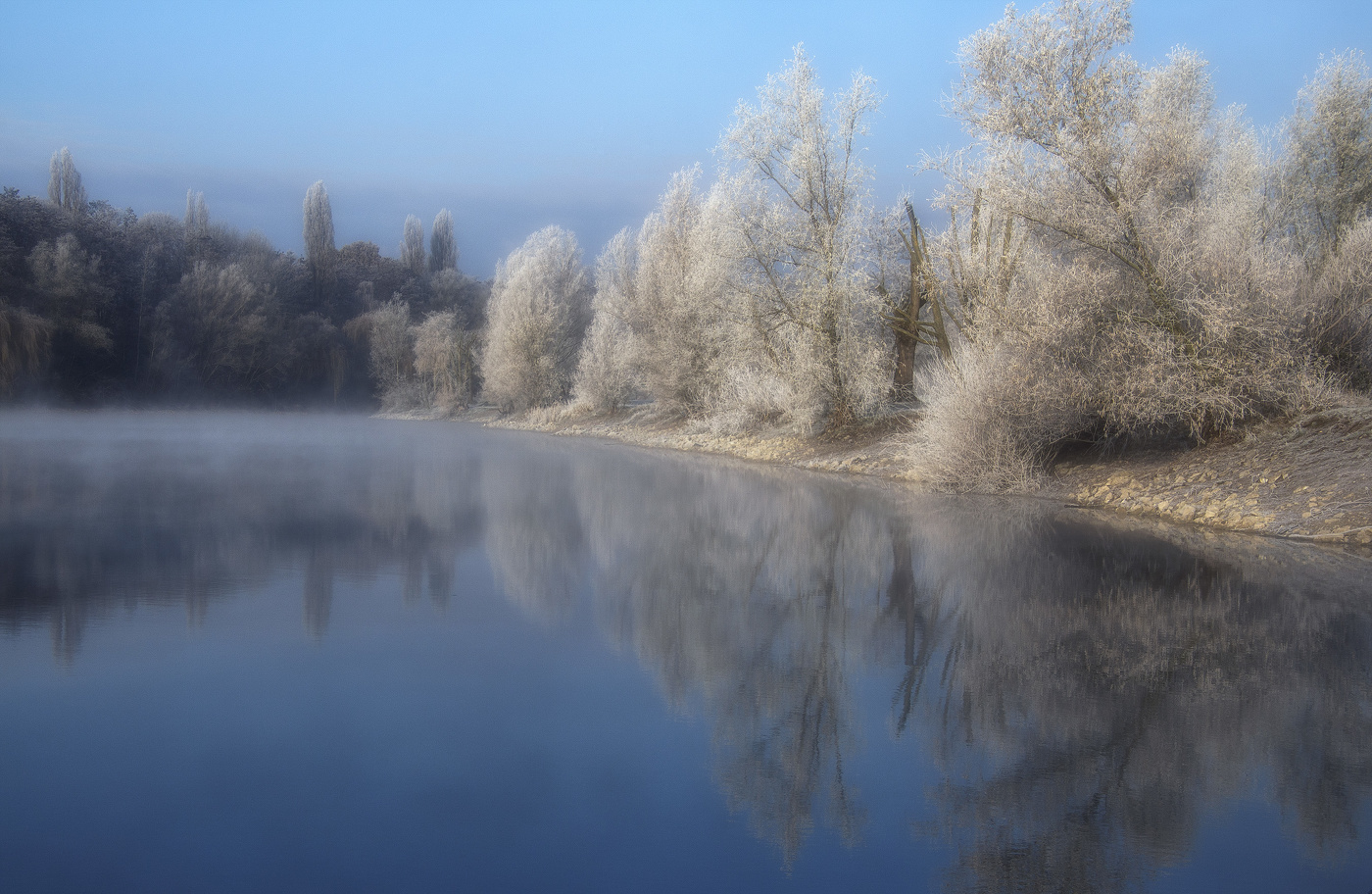 In der frostigen Nebel