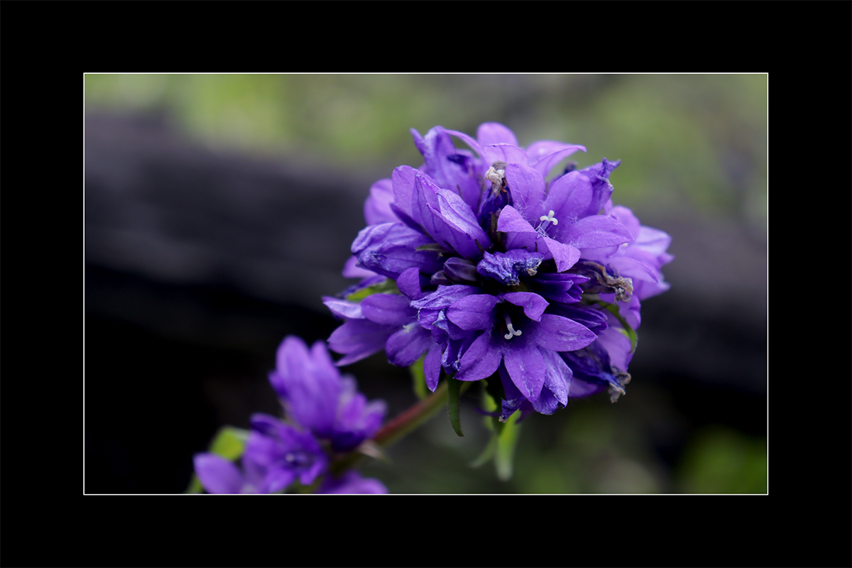 Erinnerungen an den Sommer