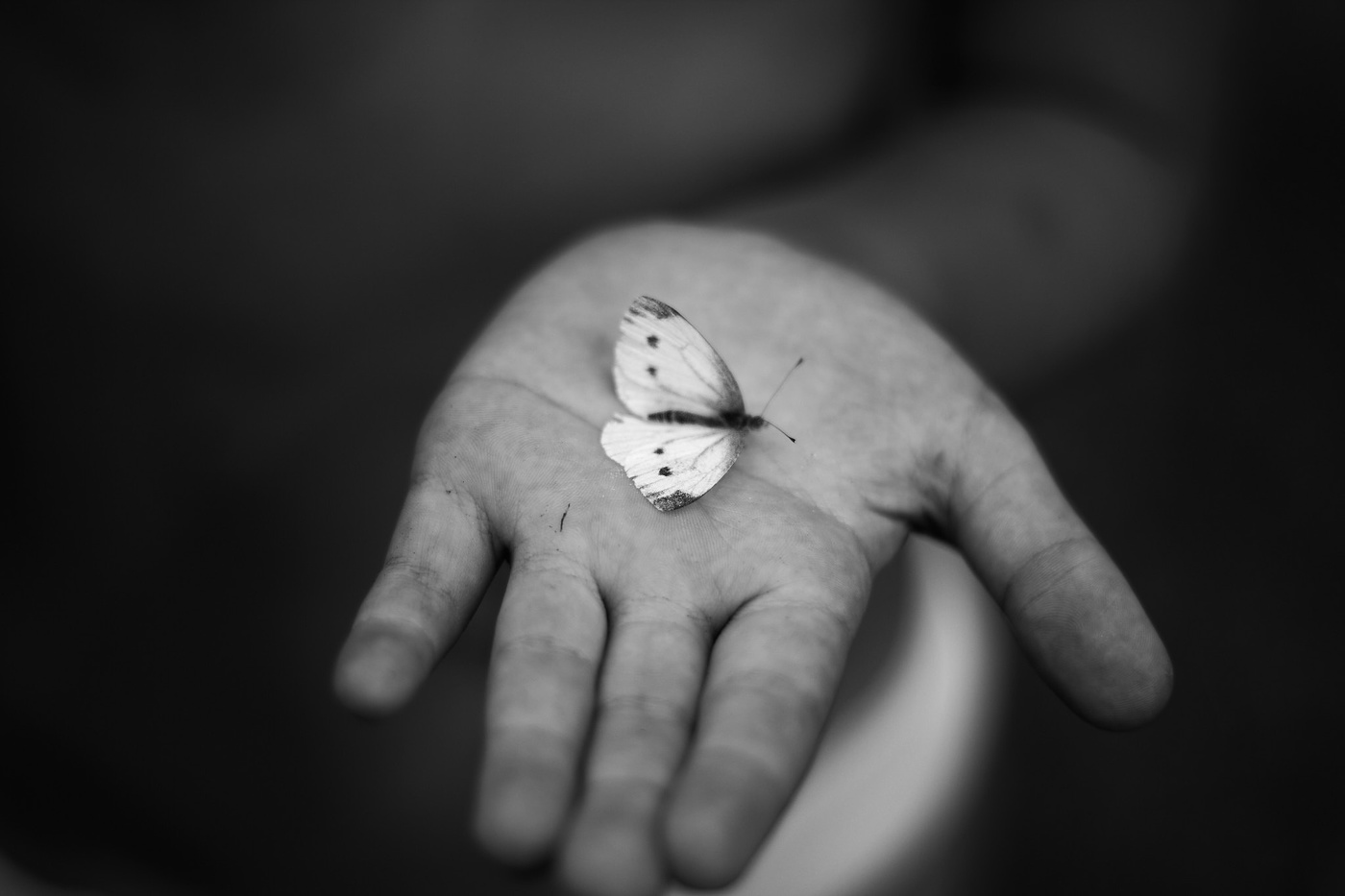 zerbrechliches Leben