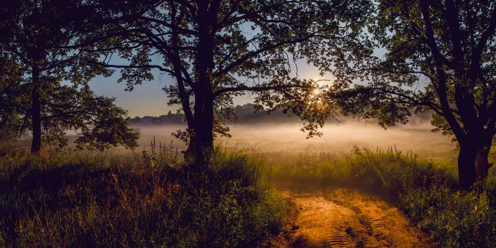 An einem sonnigen Morgen
