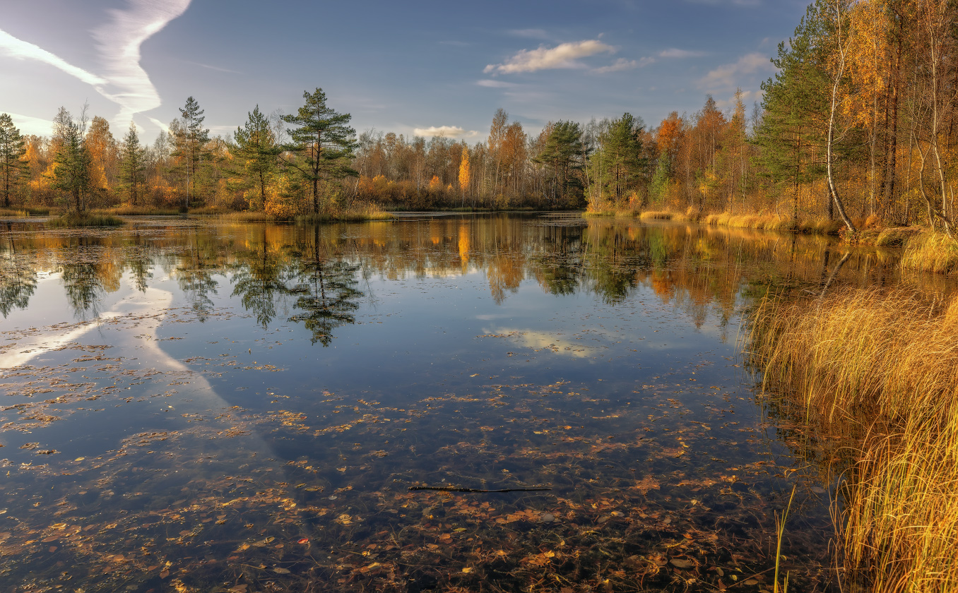 Die Erinnerung an den Herbst