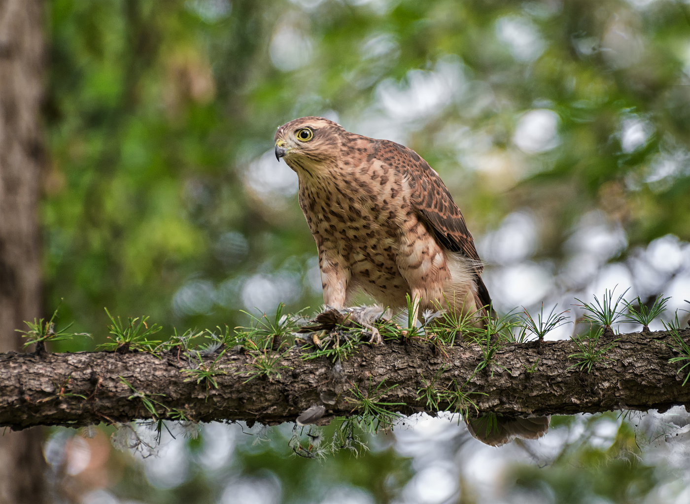 Mit der Produktion ..