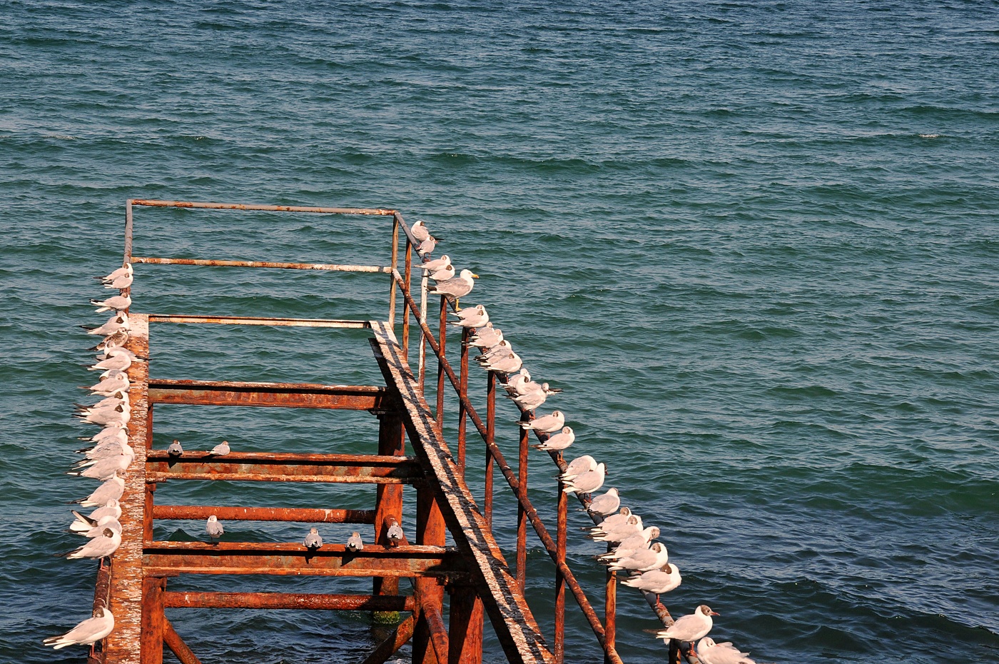 Warten auf den Frühling